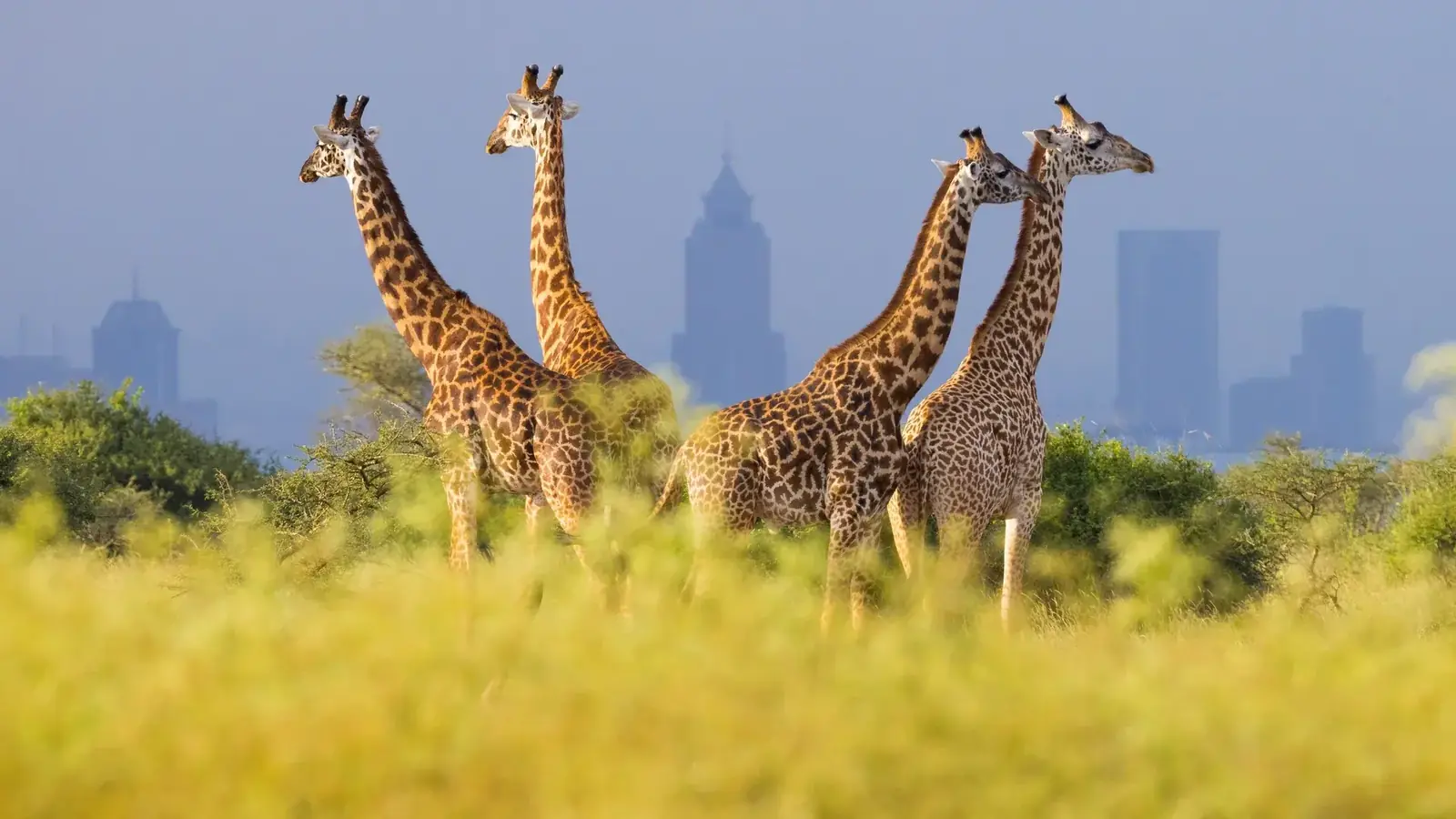 culture real travel image 12 - real travel photography for Serene Sojourns Tours