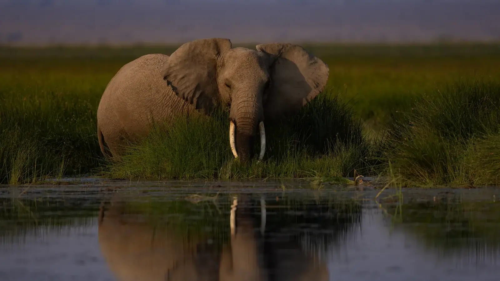 hero safari real travel image 3 - real travel photography for Serene Sojourns Tours