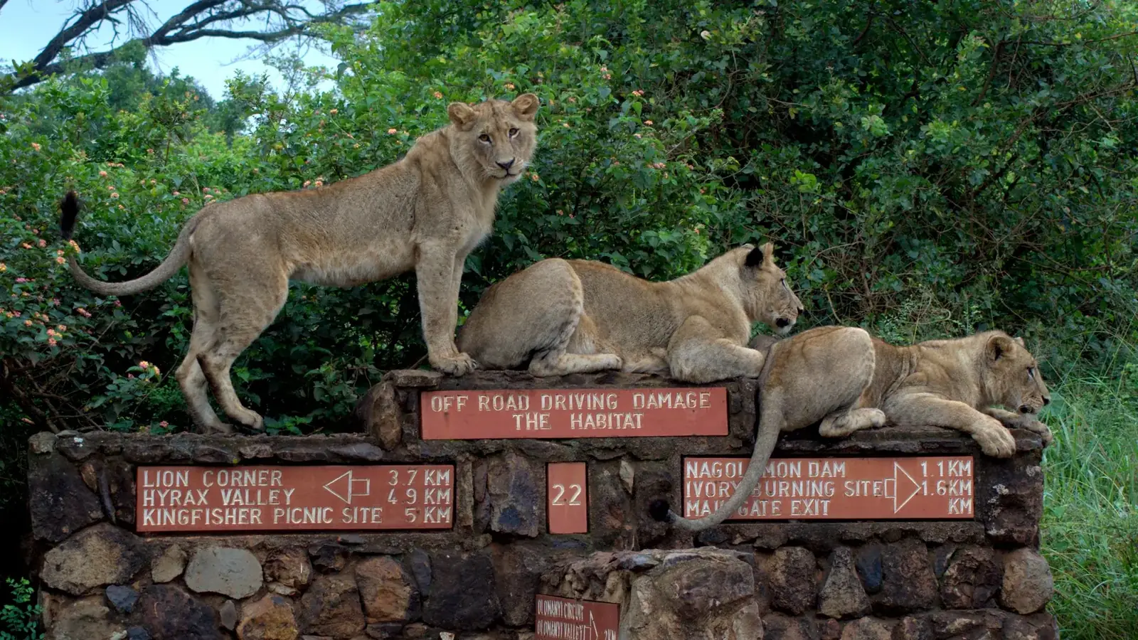 johannesburg real travel image 3 - real travel photography for Serene Sojourns Tours