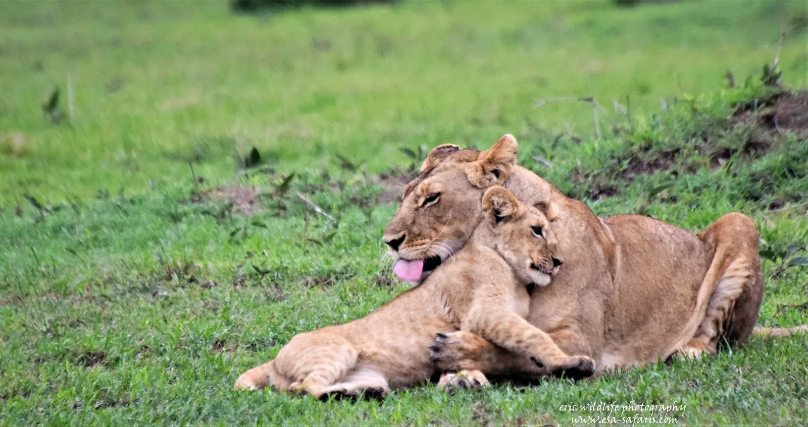 kalahari real travel image 2 - real travel photography for Serene Sojourns Tours