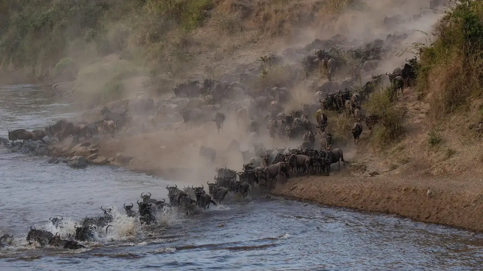 kenya safari real travel image 5 - real travel photography for Serene Sojourns Tours