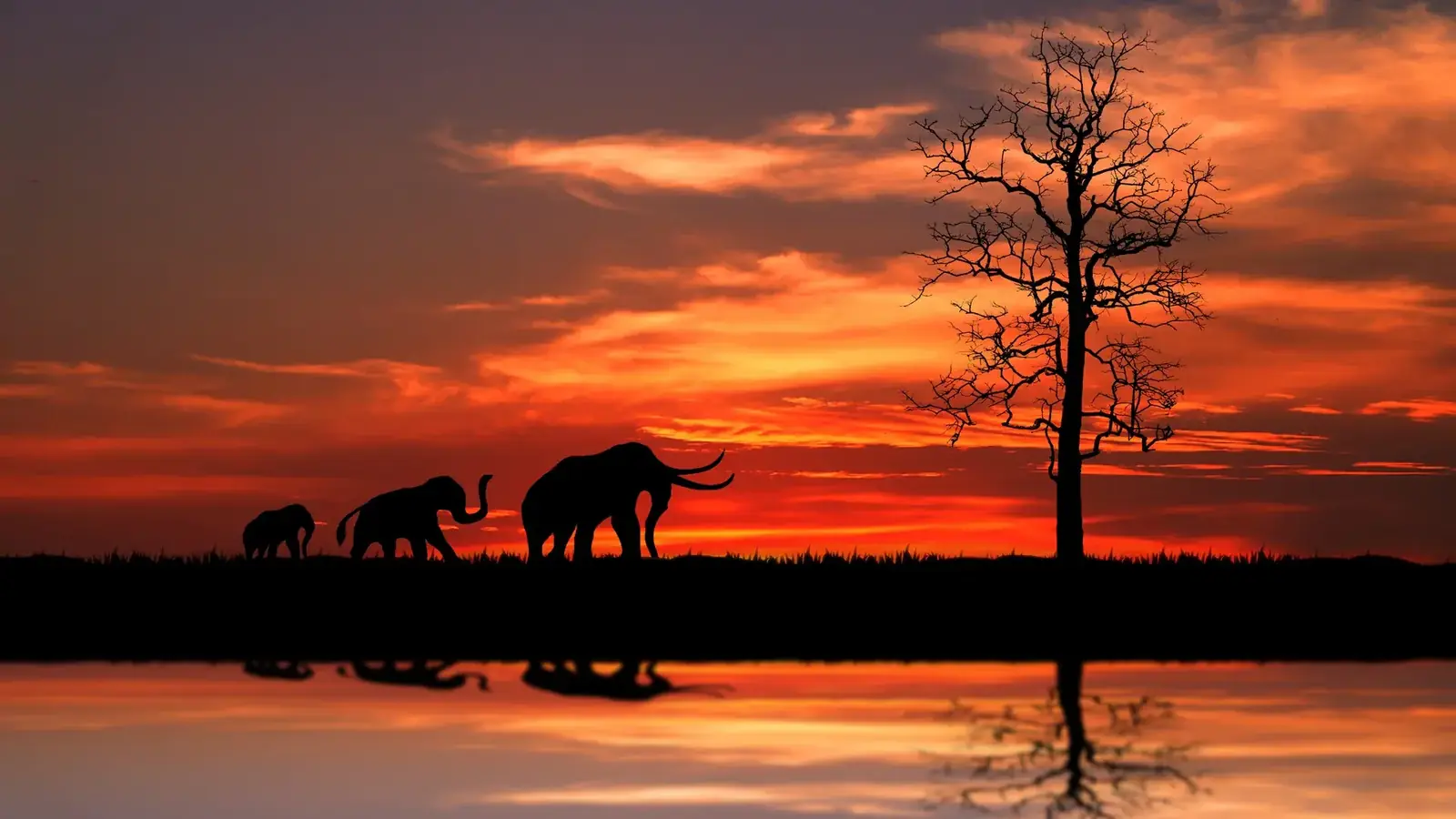kenya safari real travel image 11 - real travel photography for Serene Sojourns Tours