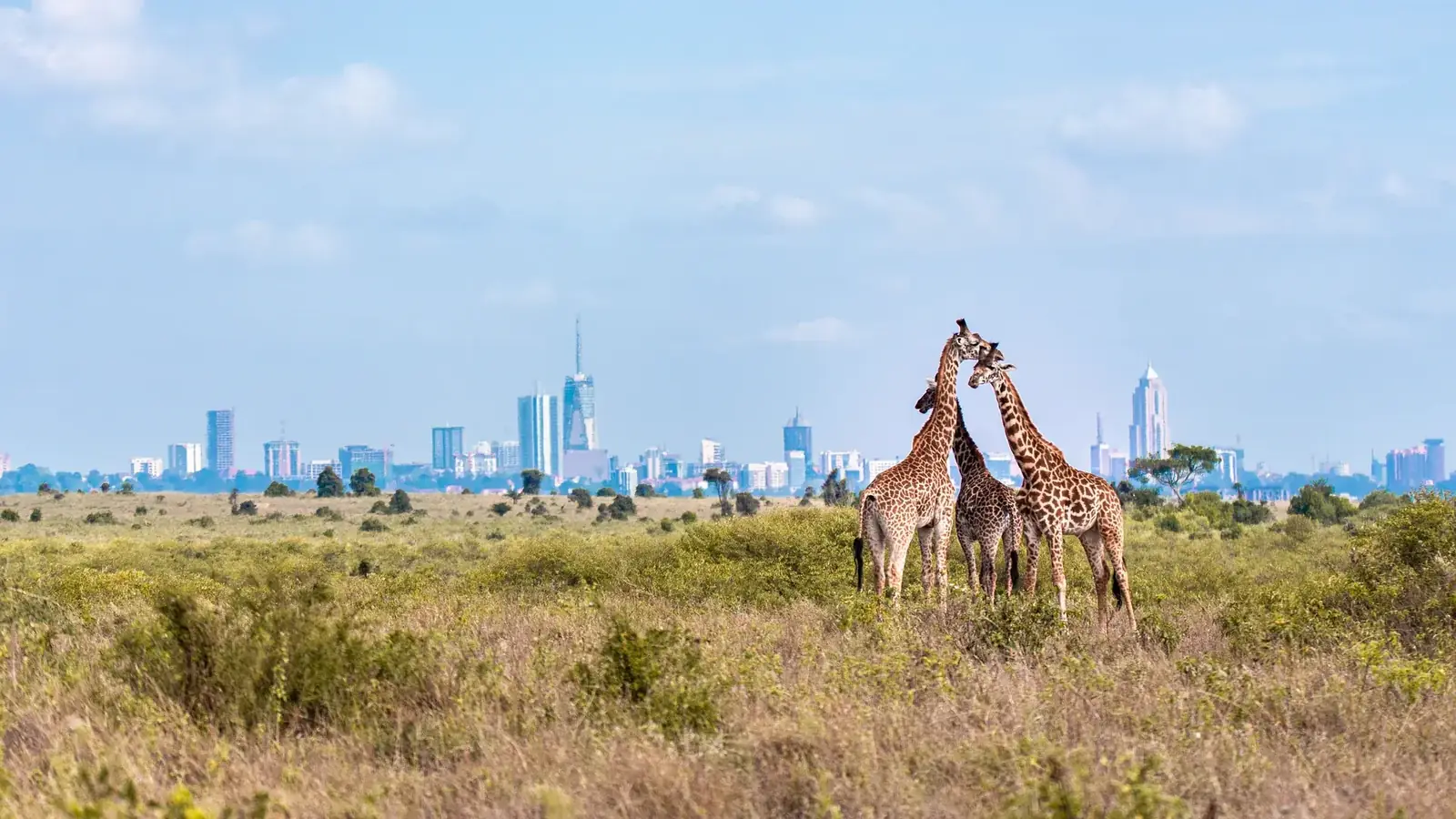 nairobi real travel image 8 - real travel photography for Serene Sojourns Tours