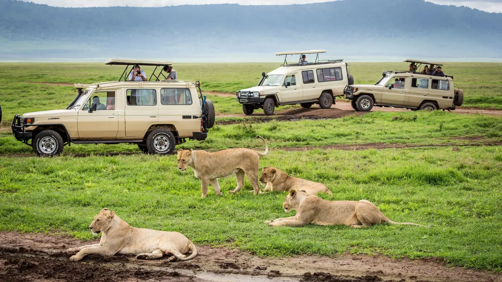 tanzania safari real travel image 2 - real travel photography for Serene Sojourns Tours