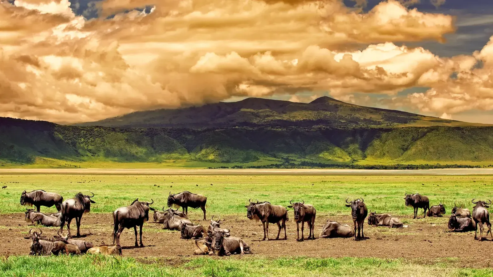 African wilderness journey