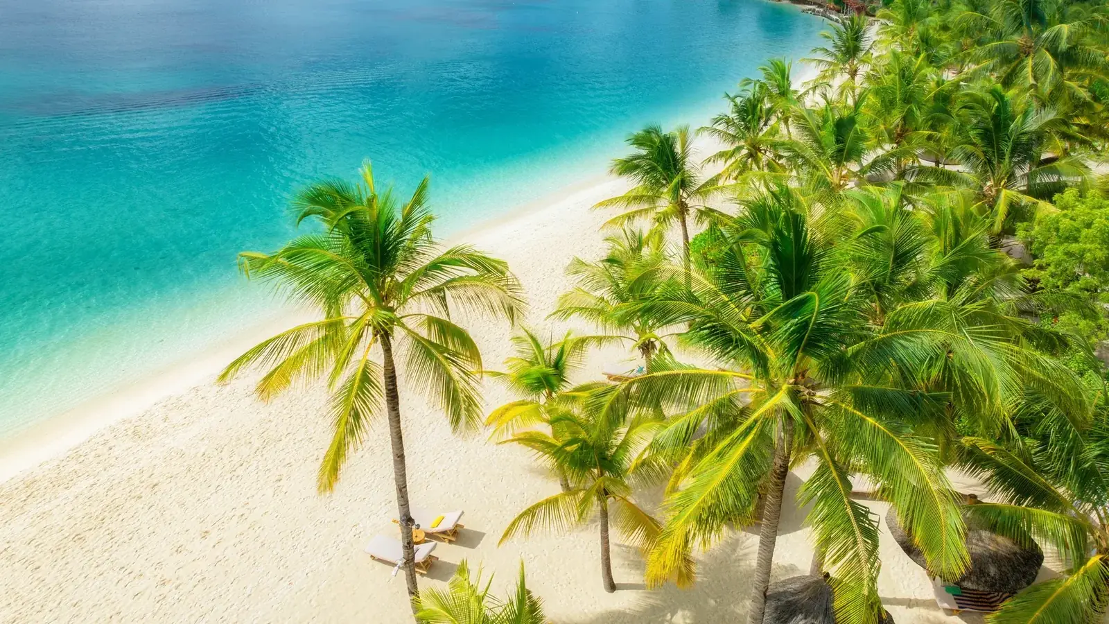 zanzibar real travel image 7 - real travel photography for Serene Sojourns Tours