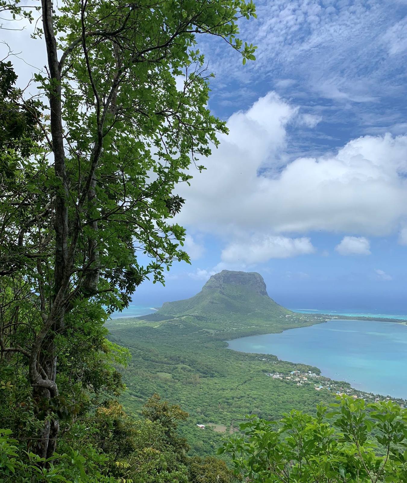 Mauritius safari scenery for SERENE SOJOURNS TOURS